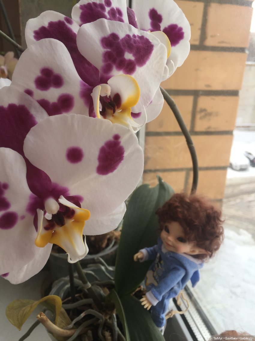 Проводы зимы — Куклы Fairyland (ФэйриЛэнд): BJD (БЖД) (фото 4)