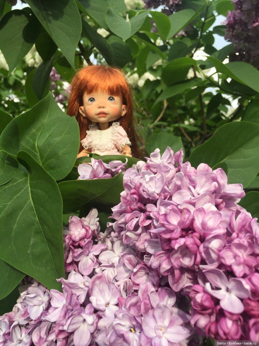 Один день из жизни Люсеньки