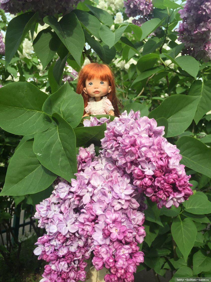 Один день из жизни Люсеньки