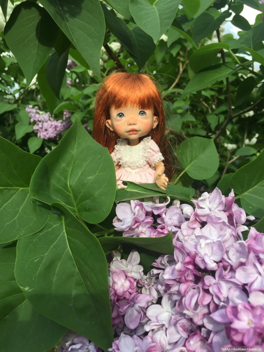 Один день из жизни Люсеньки