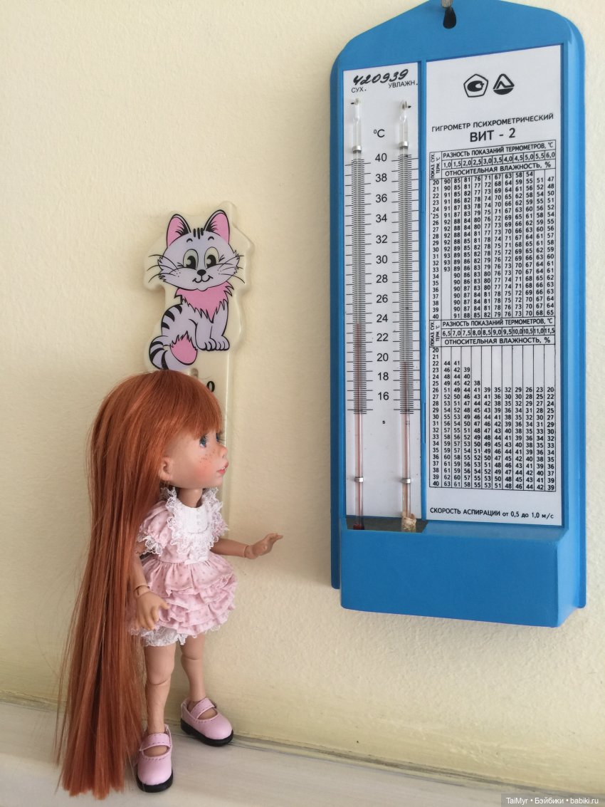 Один день из жизни Люсеньки (фото 7)