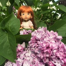 Один день из жизни Люсеньки.