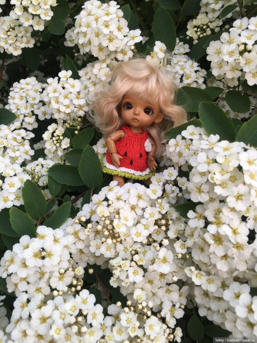 Алиска — Куклы Latidoll (Лати): BJD (БЖД) (фото 8)