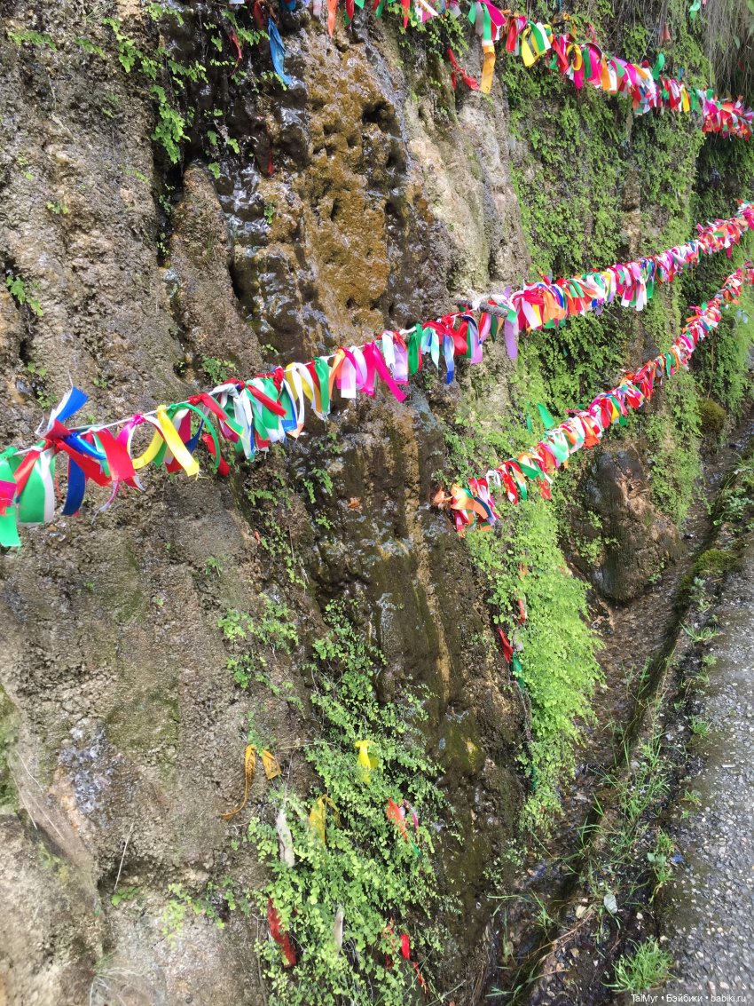 Путешествие Люсеньки на озеро Рица.( часть 1)