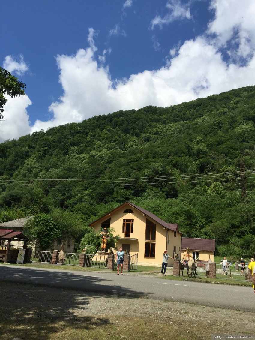 Путешествие Люсеньки на озеро Рица.( часть 1) (фото 4)