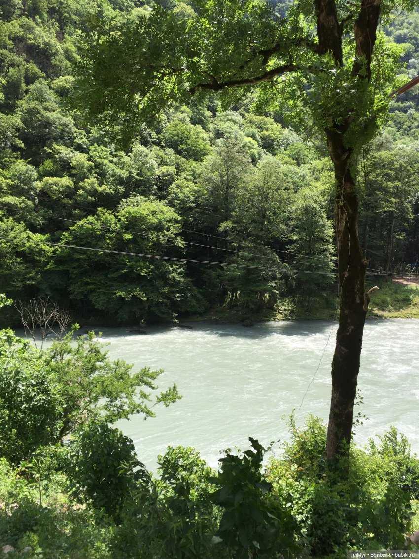 Путешествие Люсеньки на озеро Рица.( часть 1)