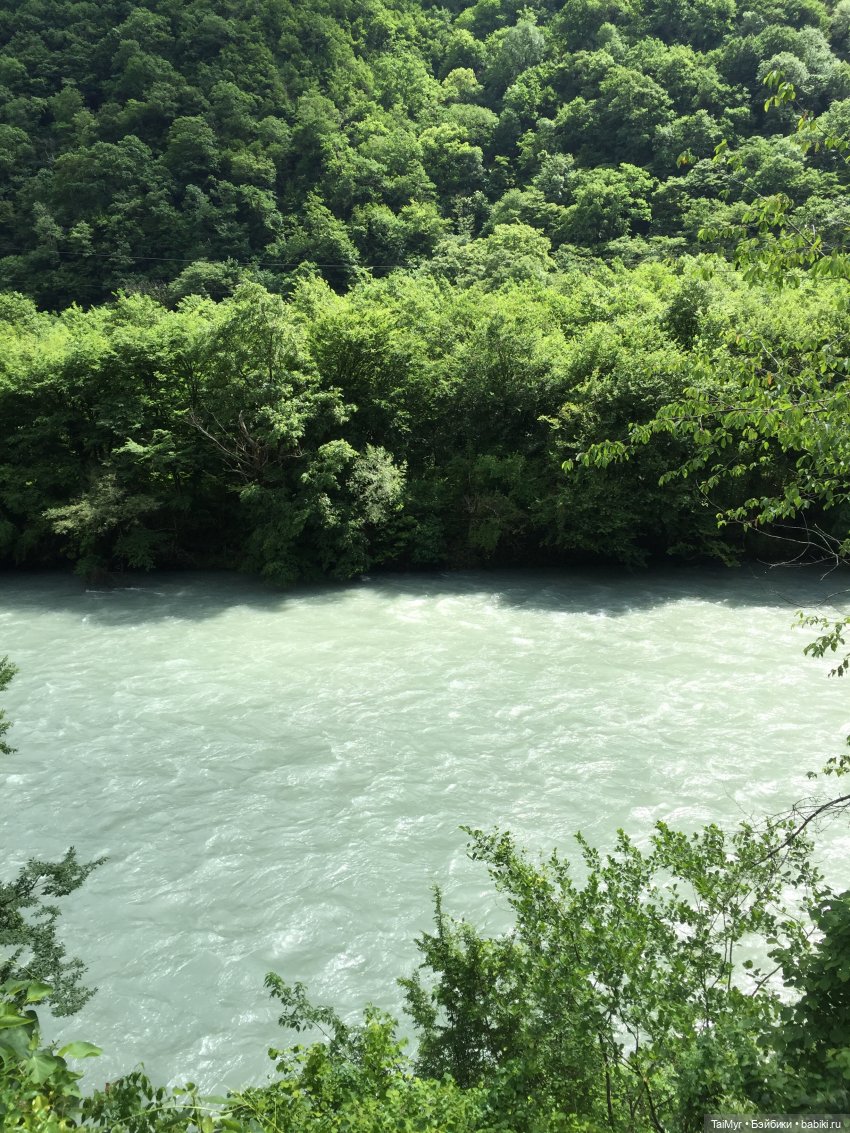 Путешествие Люсеньки на озеро Рица.( часть 1)