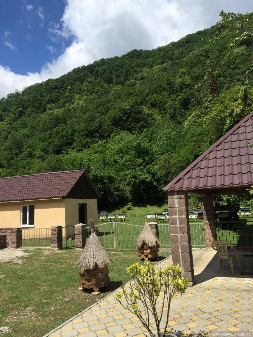 Путешествие Люсеньки на озеро Рица.( часть 1) (фото 9)