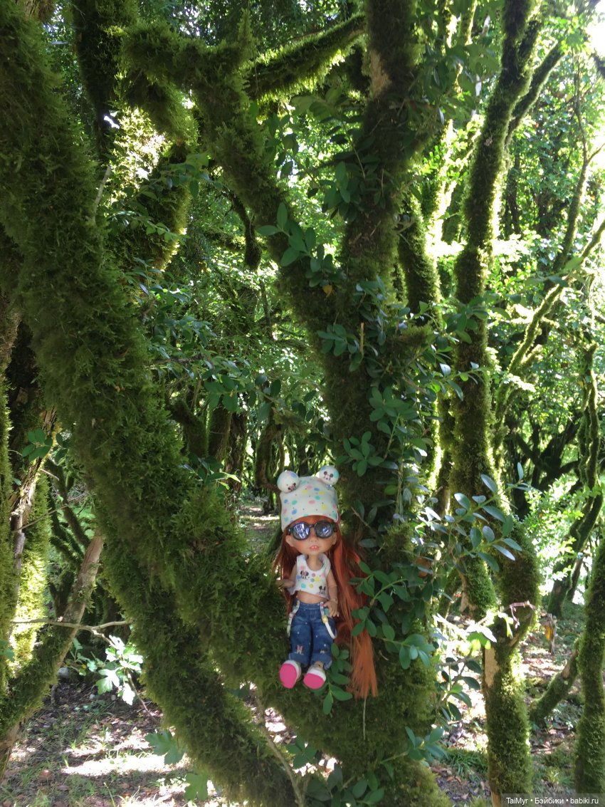 Путешествие Люсеньки на озеро Рица.( часть 1)