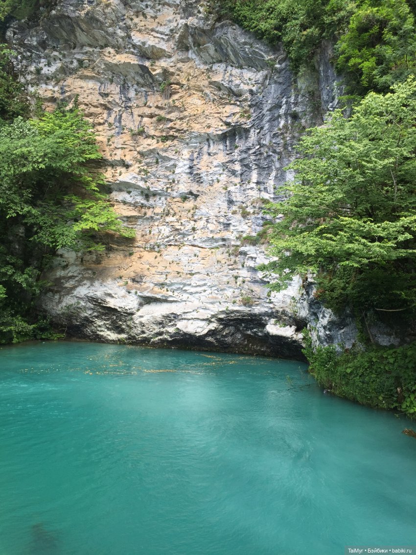 Путешествие Люсеньки на озеро Рица (часть 2) (фото 7)