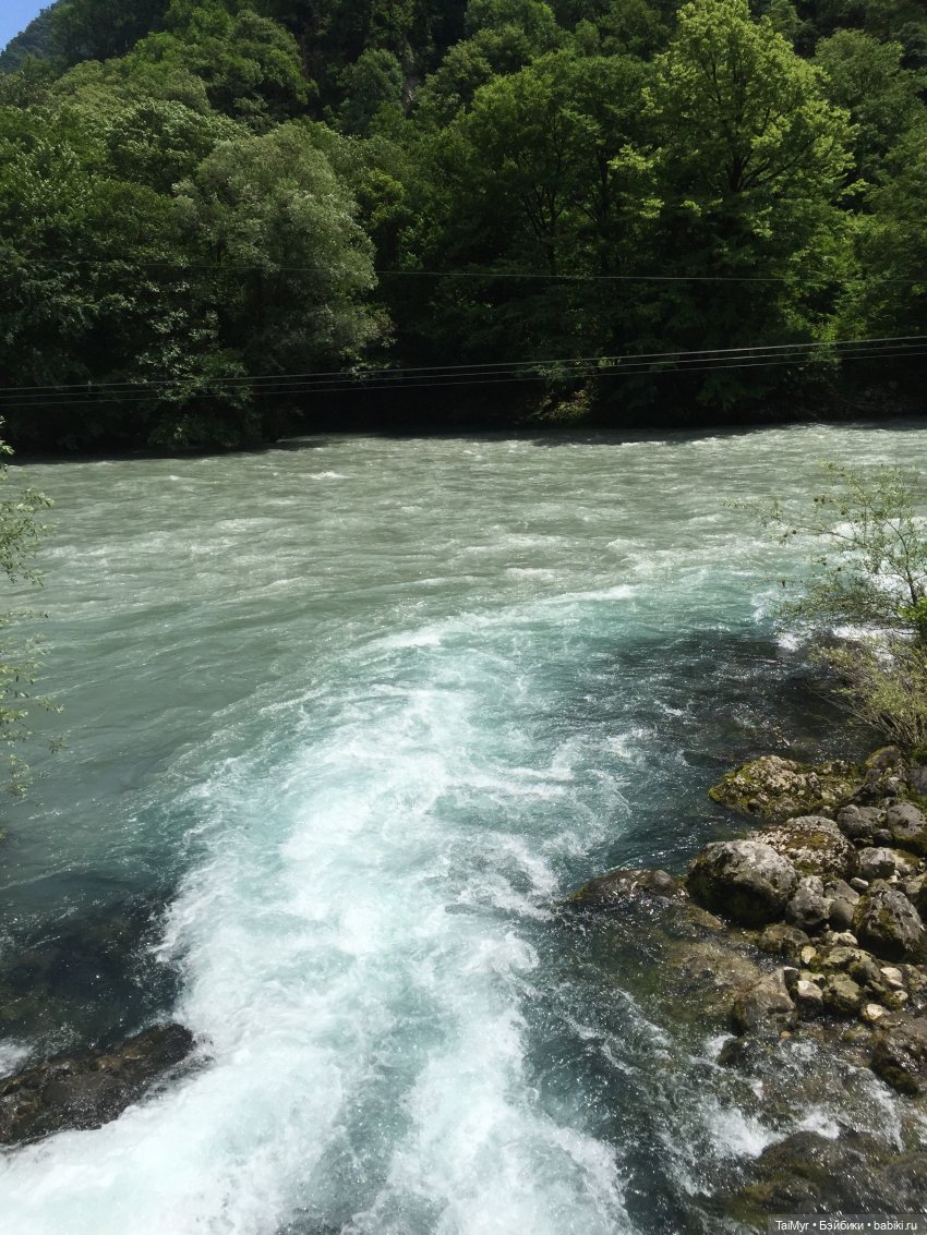 Путешествие Люсеньки на озеро Рица (часть 2) (фото 2)