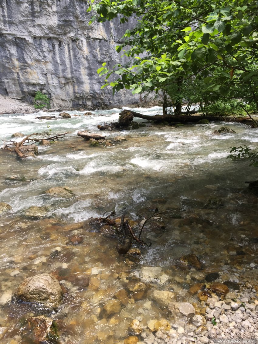 Путешествие Люсеньки на озеро Рица (часть 2) (фото 5)