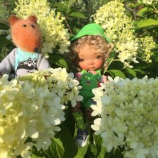 Дачные зарисовки