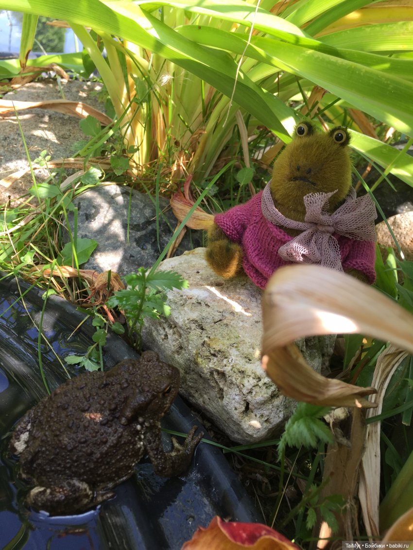 Маргоша - желает познакомиться (фото 3)