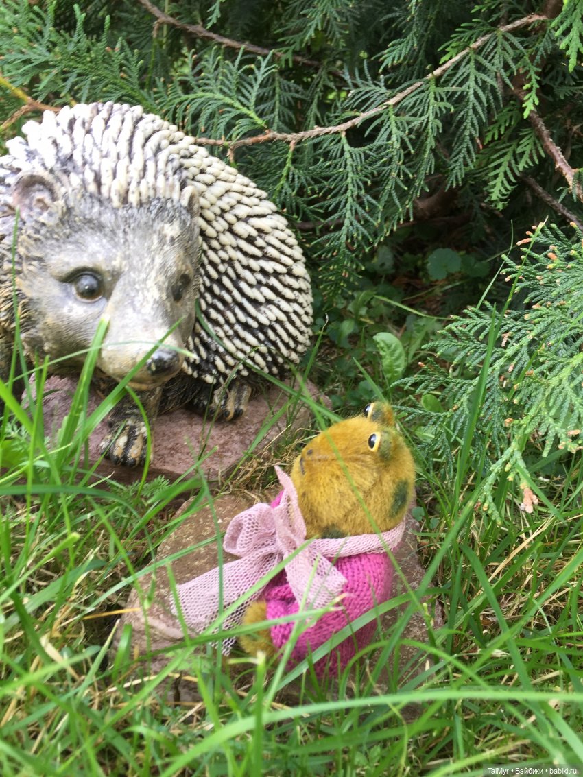 Маргоша - желает познакомиться