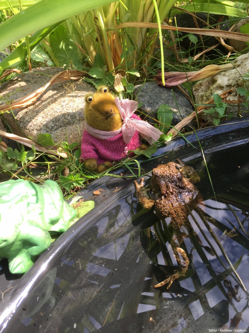 Маргоша - желает познакомиться (фото 6)