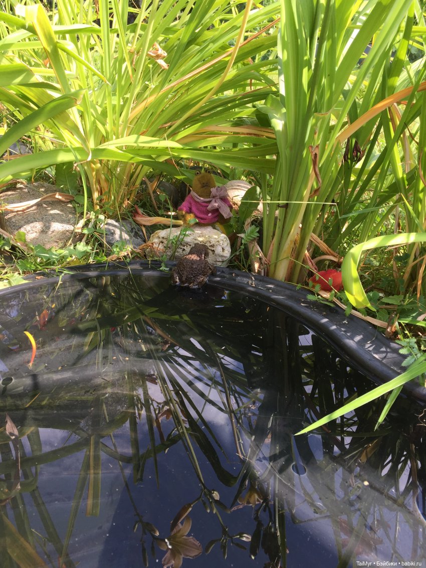 Маргоша - желает познакомиться (фото 7)