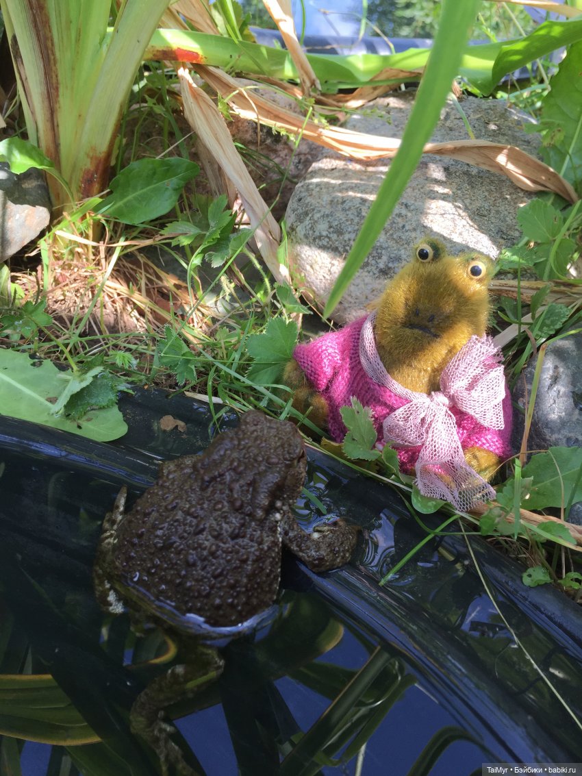 Маргоша - желает познакомиться (фото 5)