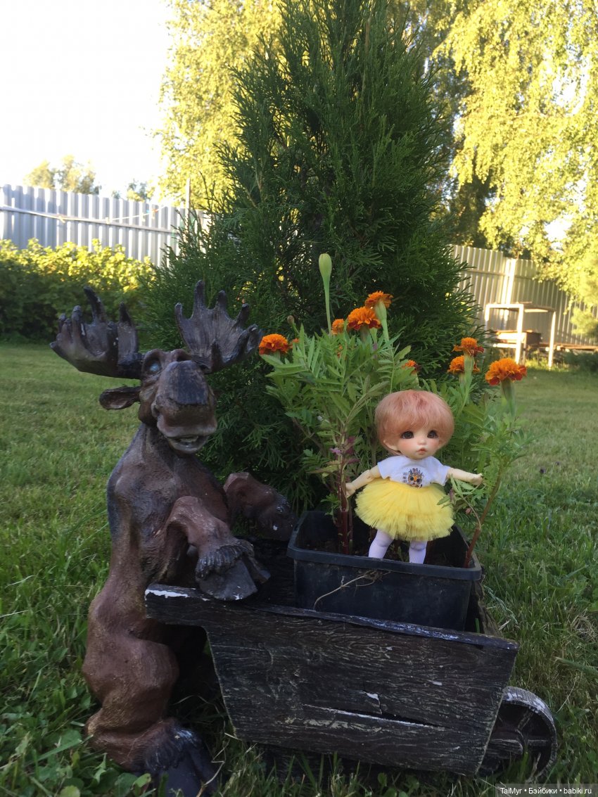 Дачные зарисовки 3 — Куклы Fairyland (ФэйриЛэнд): BJD (БЖД)