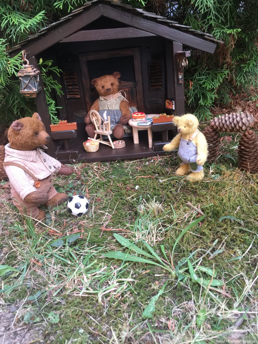 Мои новые Мишки или просто -СЕМЬЯ