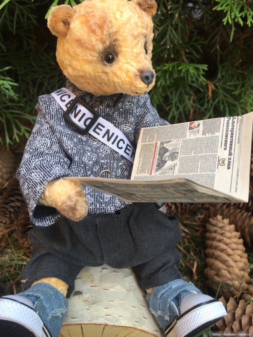 Мои новые Мишки или просто -СЕМЬЯ (фото 3)