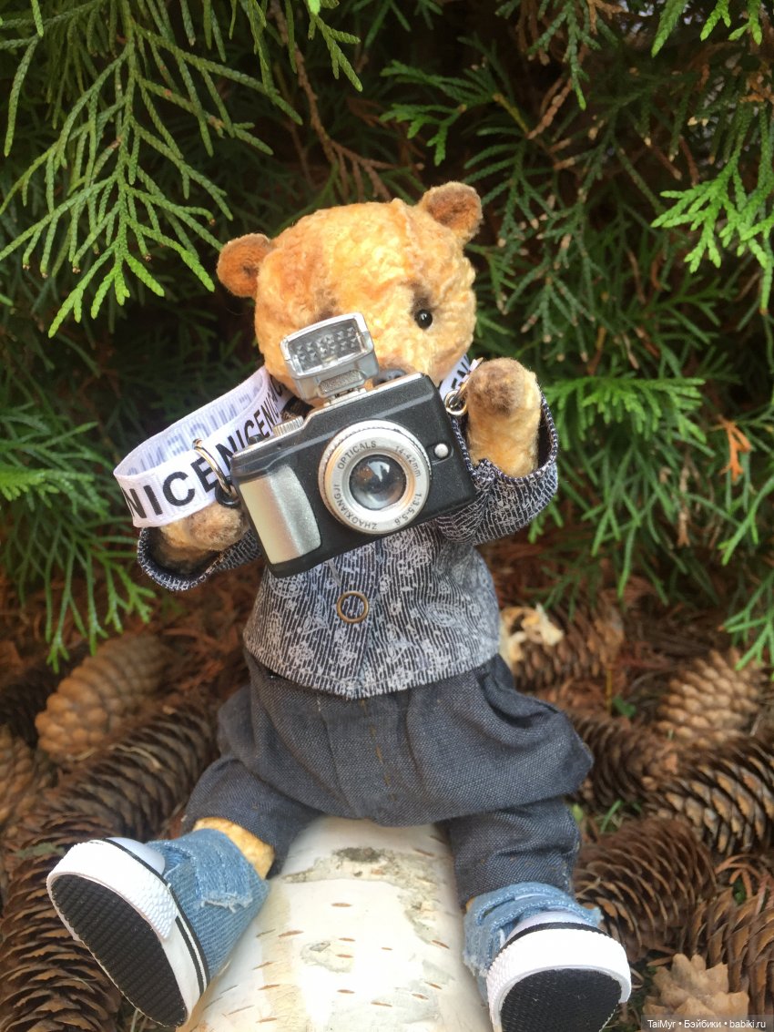 Мои новые Мишки или просто -СЕМЬЯ (фото 6)