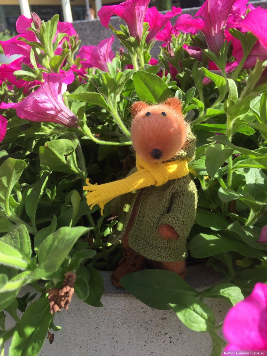 Лучик и Бинго — Куклы Fairyland (ФэйриЛэнд): BJD (БЖД) (фото 9)