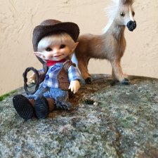 Маленький ковбой.