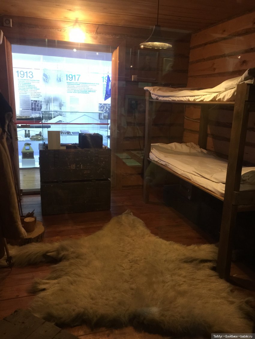 Рождественские каникулы лисёнка Бинго