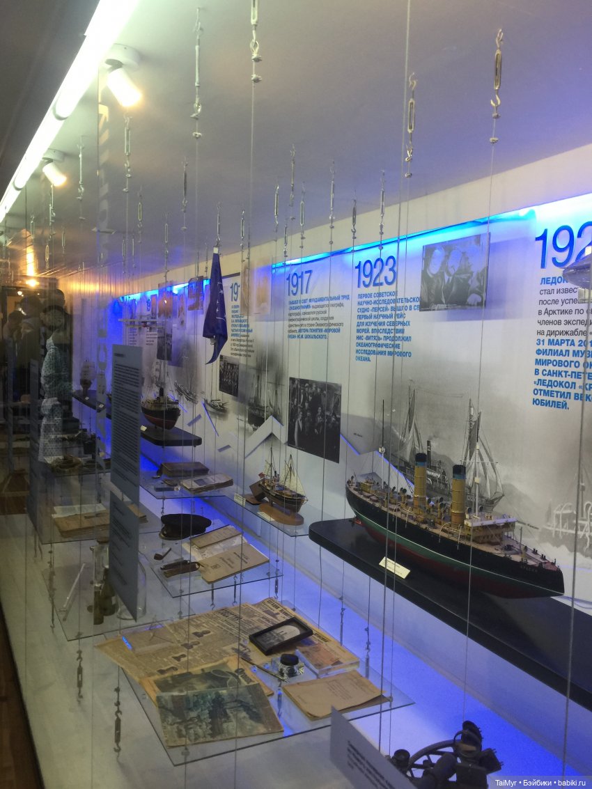 Рождественские каникулы лисёнка Бинго