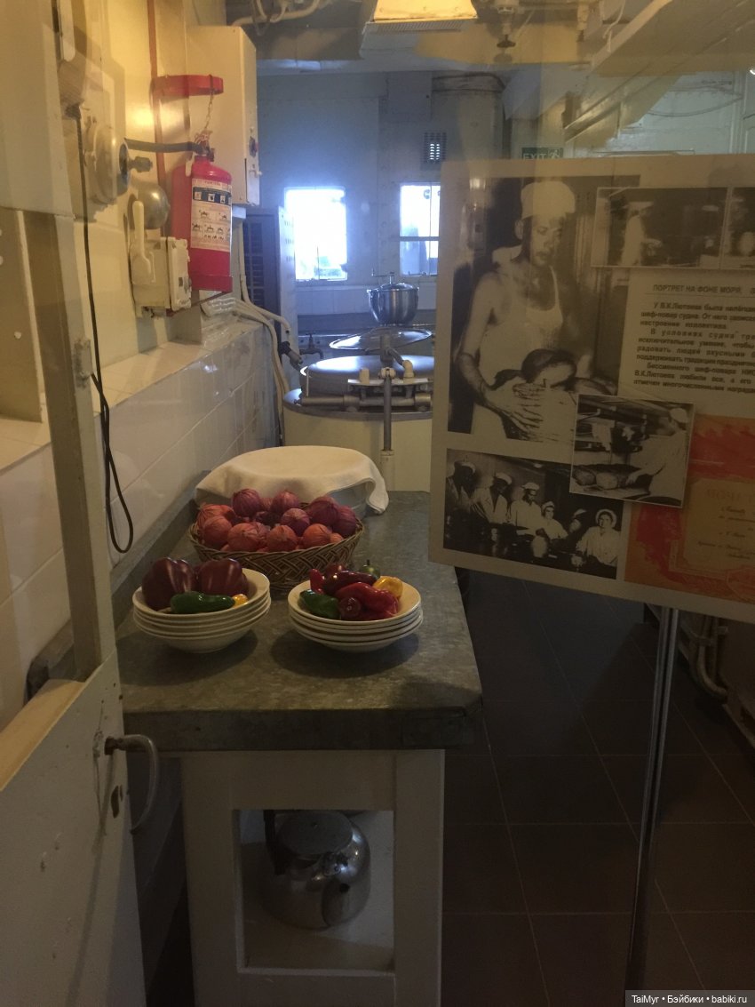 Рождественские каникулы лисёнка Бинго