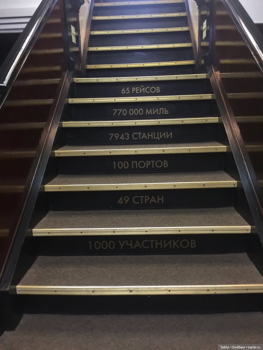 Рождественские каникулы лисёнка Бинго (фото 3)