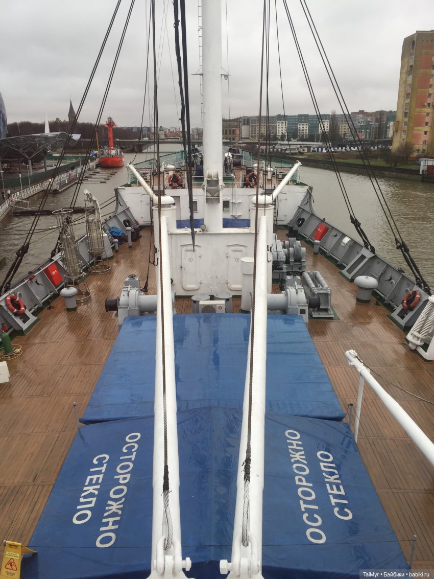 Рождественские каникулы лисёнка Бинго