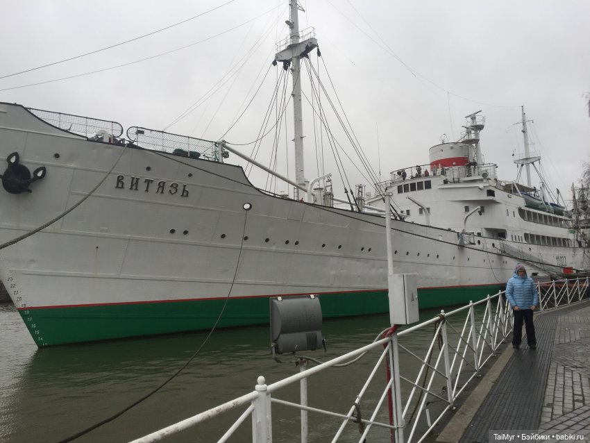 Рождественские каникулы лисёнка Бинго (фото 2)