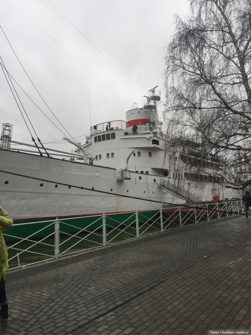 Рождественские каникулы лисёнка Бинго