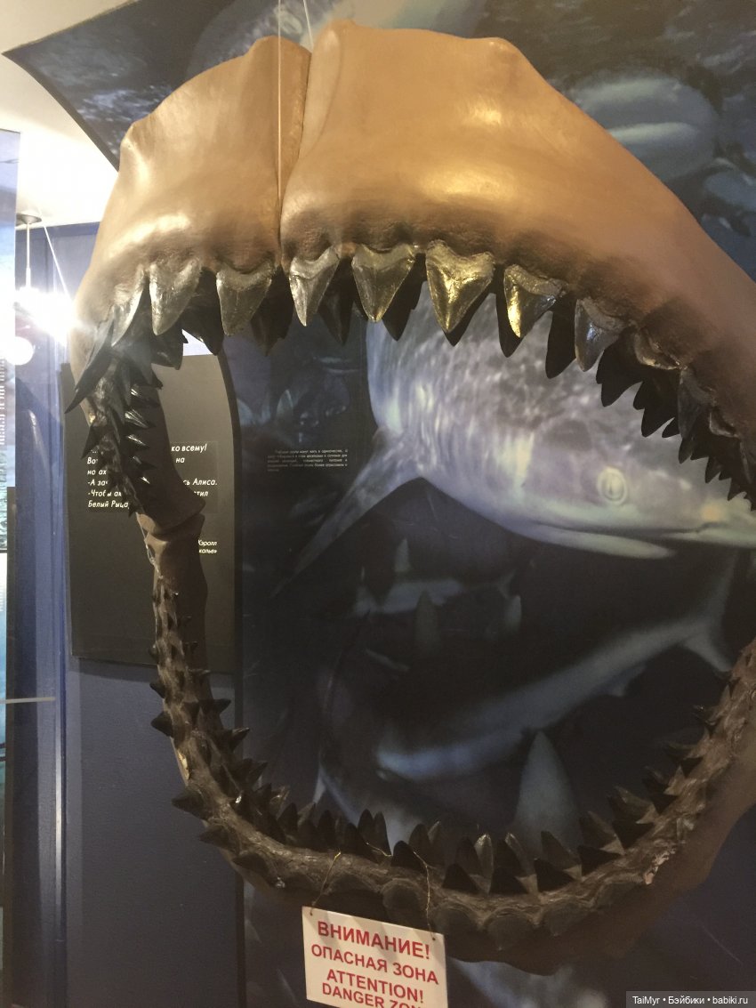 Рождественские каникулы лисёнка Бинго