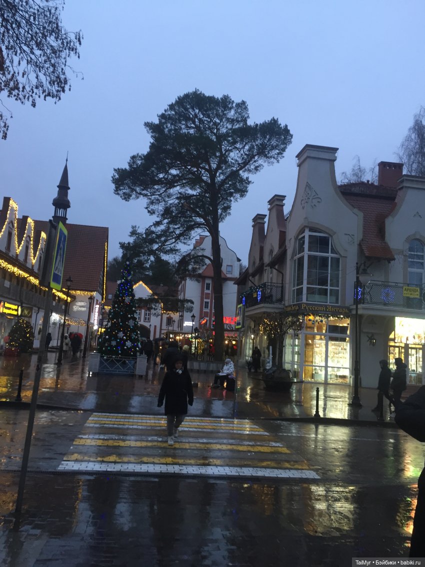 Рождественские каникулы лисёнка Бинго(продолжение)