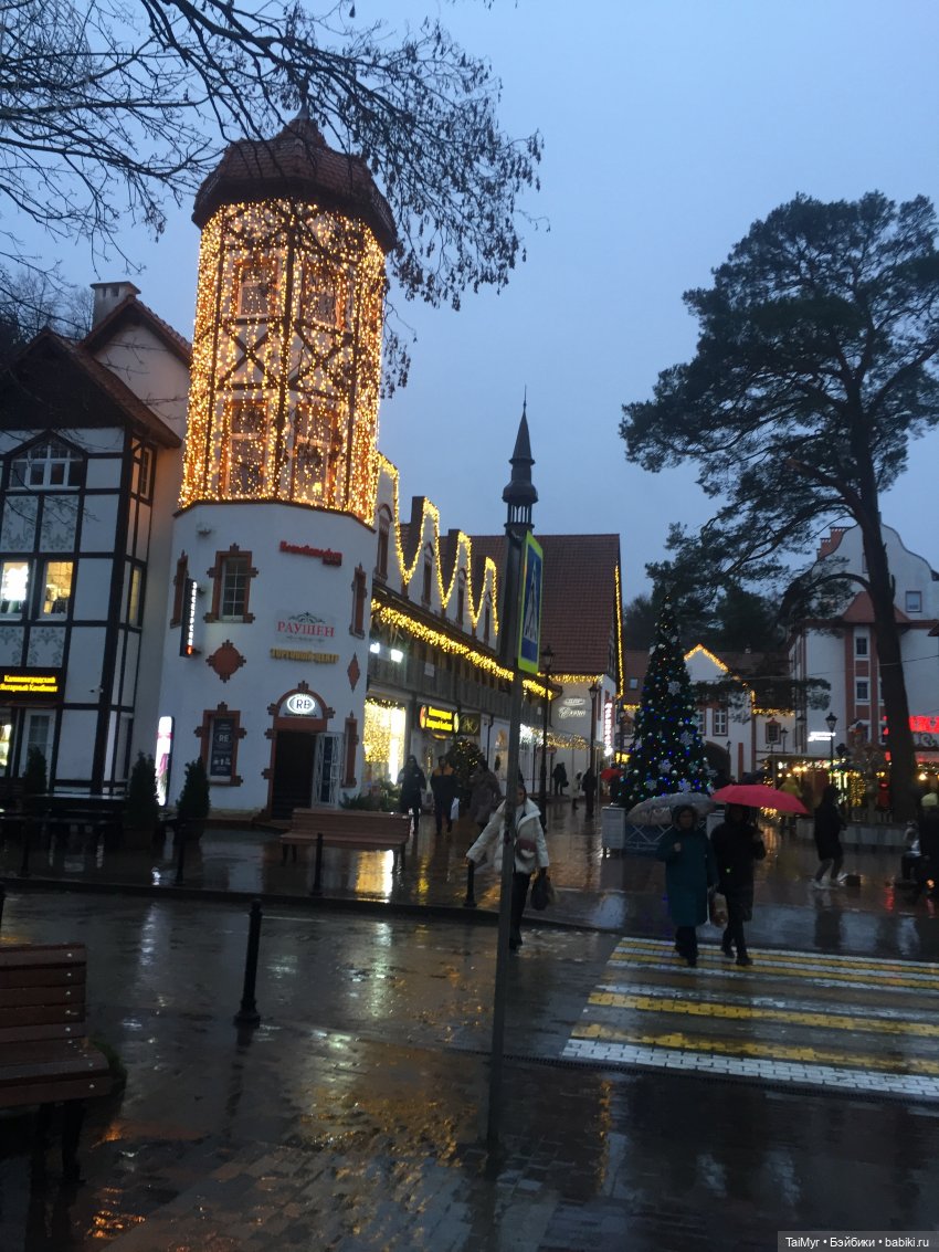 Рождественские каникулы лисёнка Бинго(продолжение)