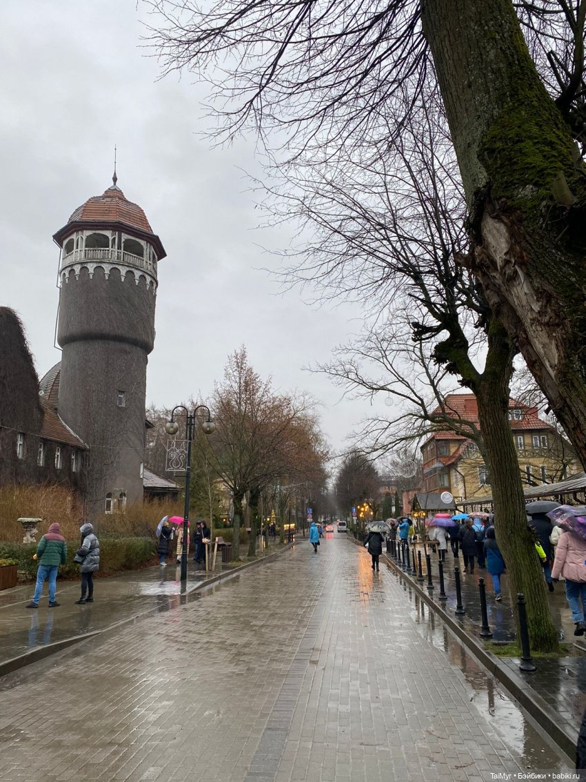 Рождественские каникулы лисёнка Бинго(продолжение)