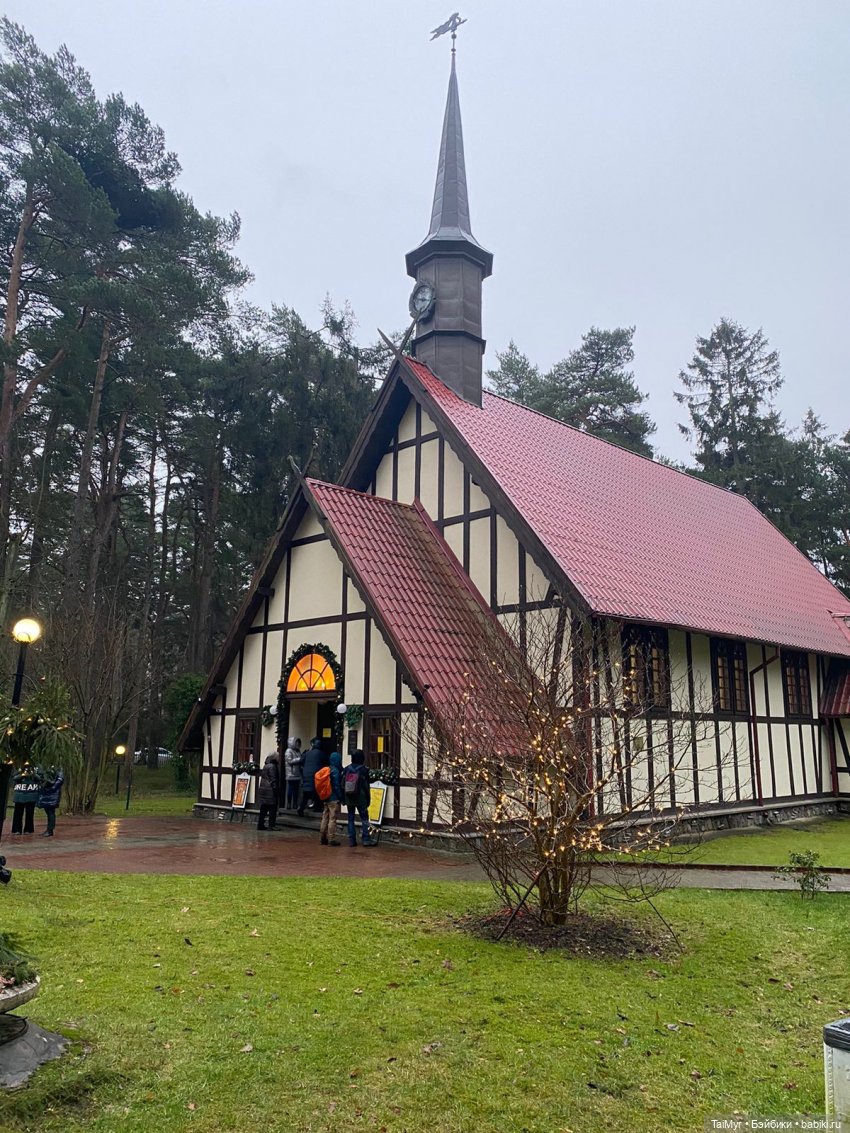 Рождественские каникулы лисёнка Бинго(продолжение)