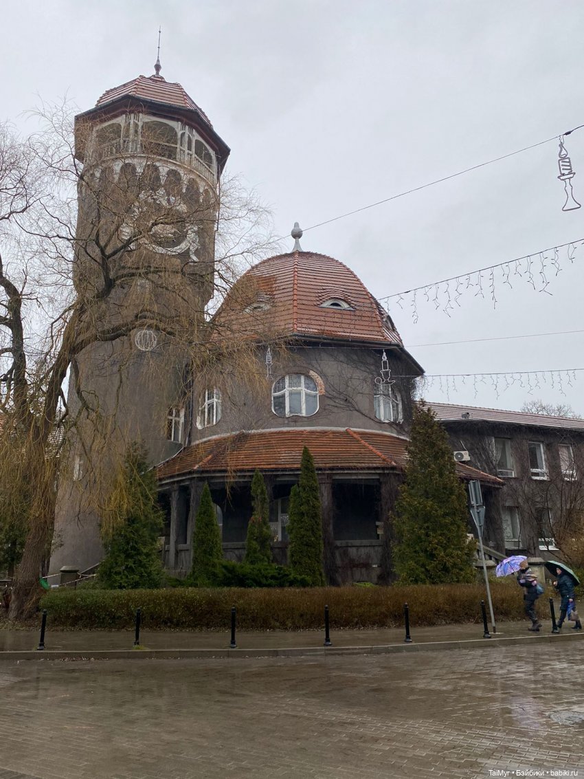 Рождественские каникулы лисёнка Бинго(продолжение)