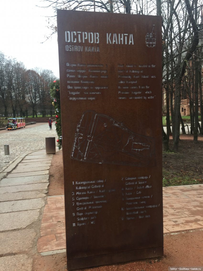 Рождественские каникулы лисёнка Бинго( продолжение)