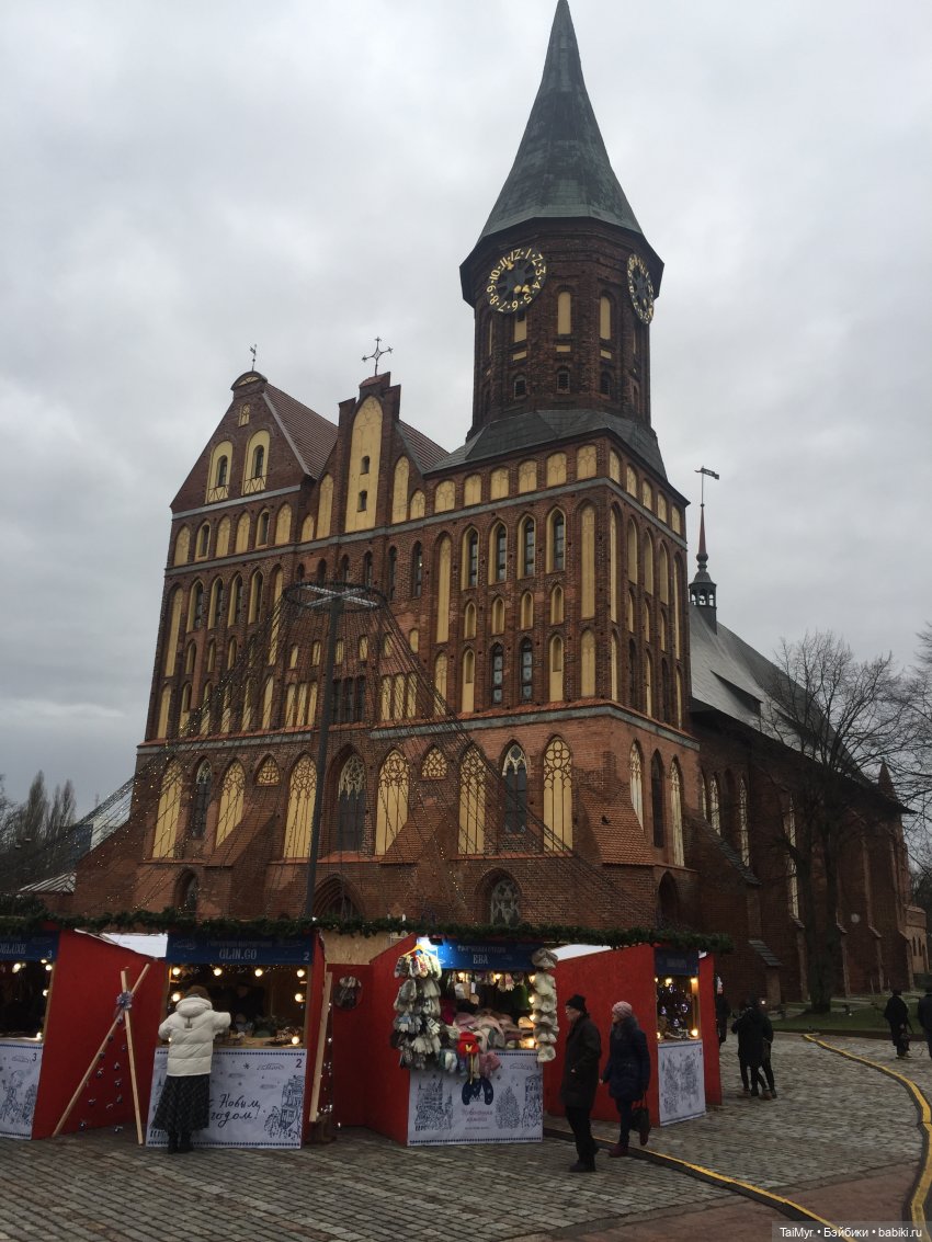 Рождественские каникулы лисёнка Бинго( продолжение)