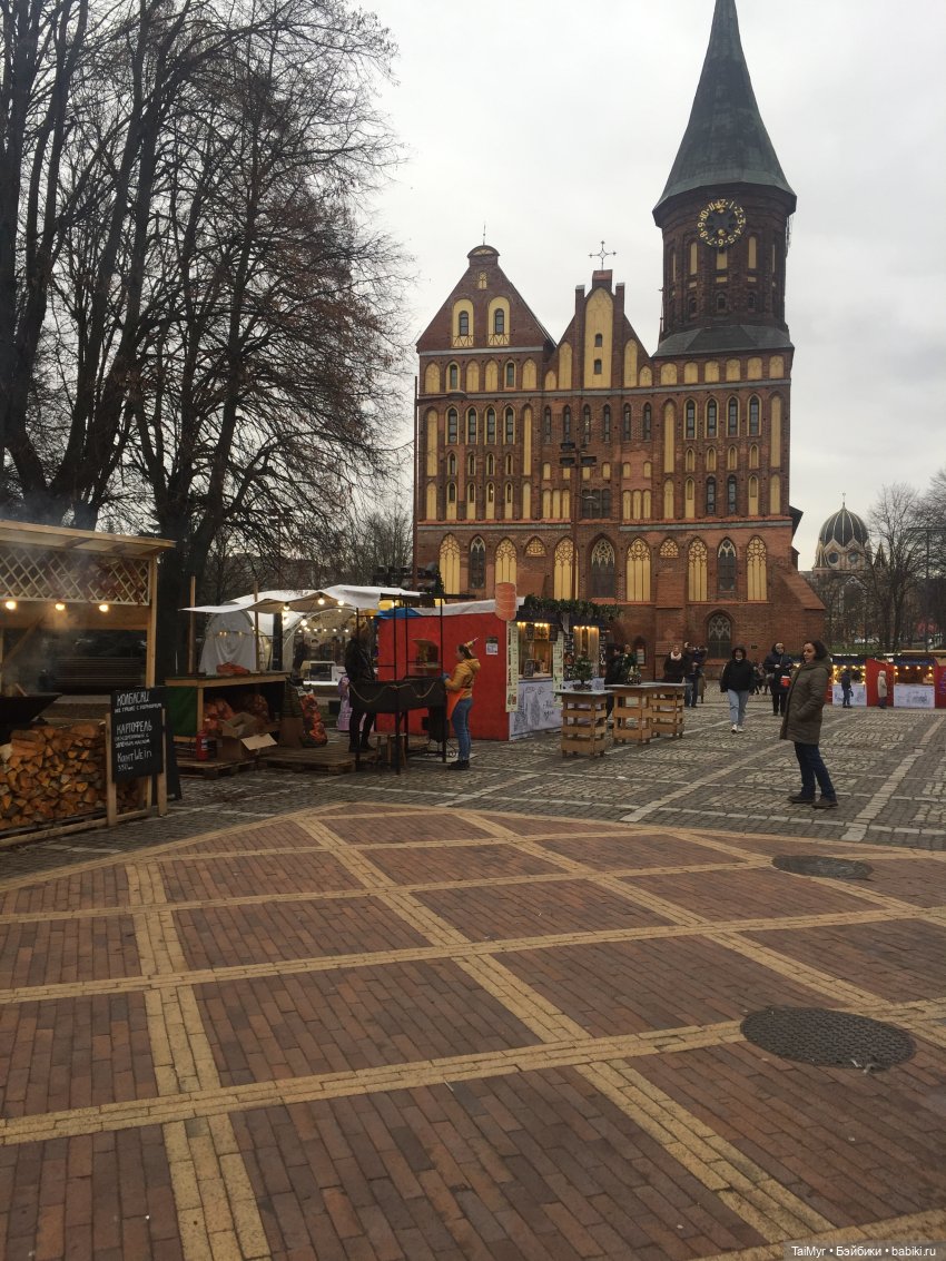 Рождественские каникулы лисёнка Бинго( продолжение)