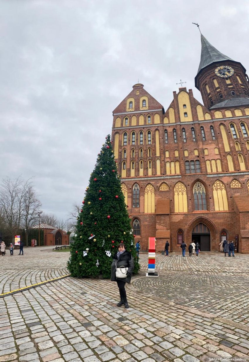Рождественские каникулы лисёнка Бинго( продолжение)