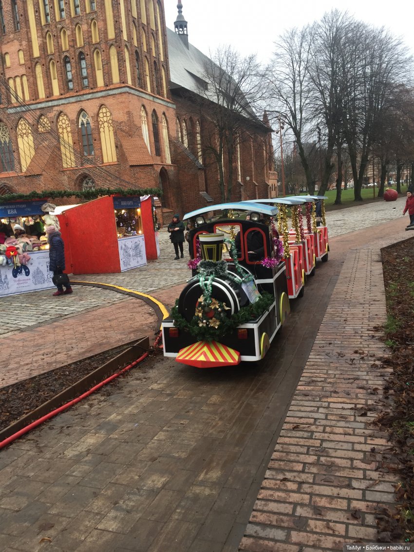 Рождественские каникулы лисёнка Бинго( продолжение)