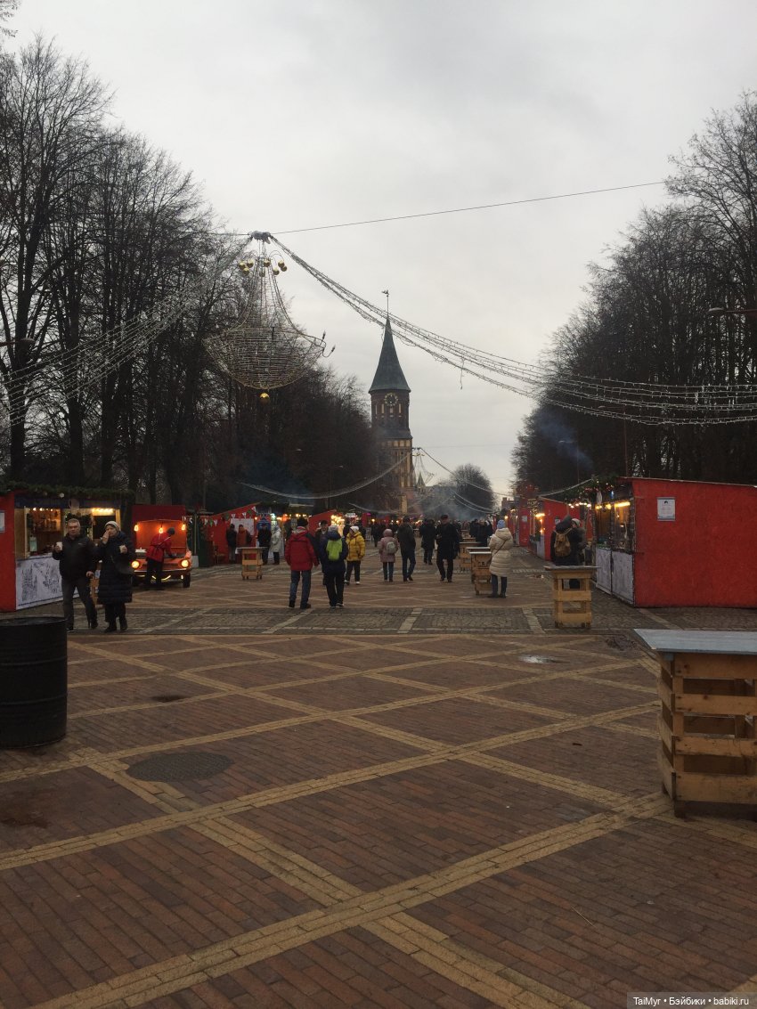 Рождественские каникулы лисёнка Бинго( продолжение)