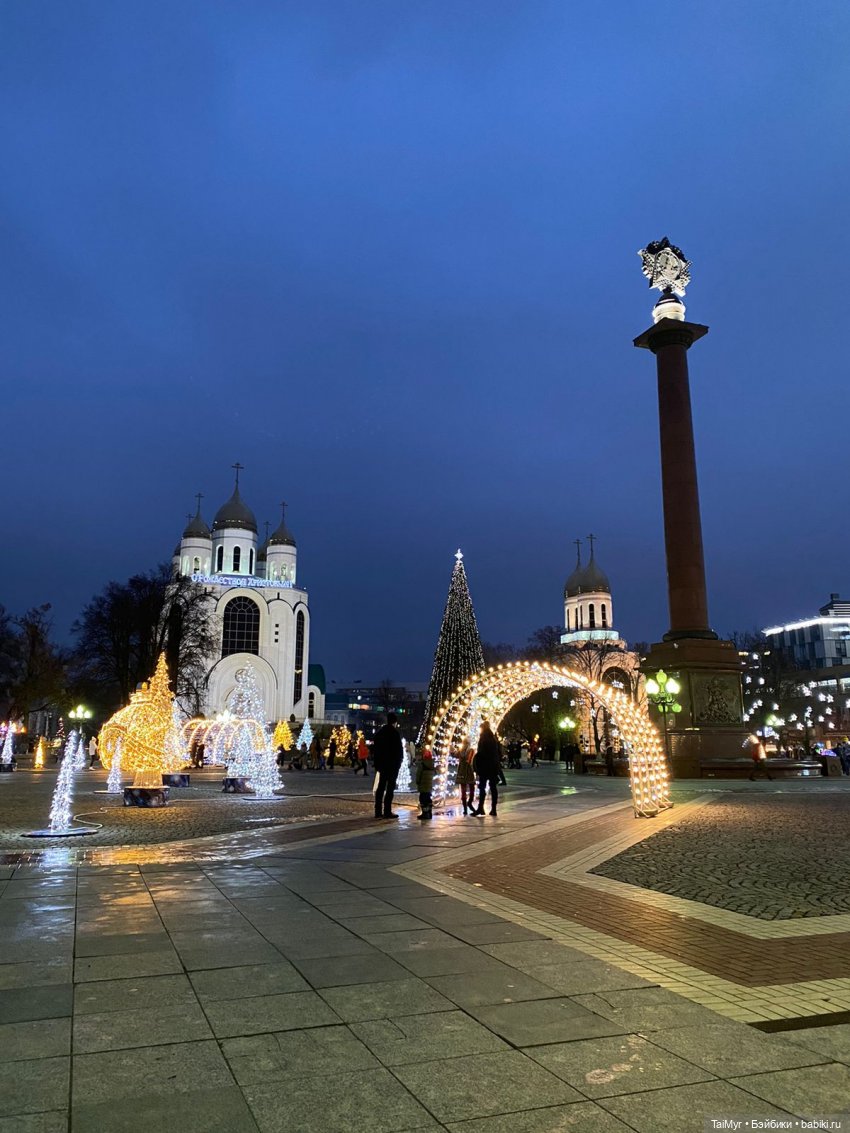 Рождественские каникулы лисёнка Бинго( продолжение) (фото 6)