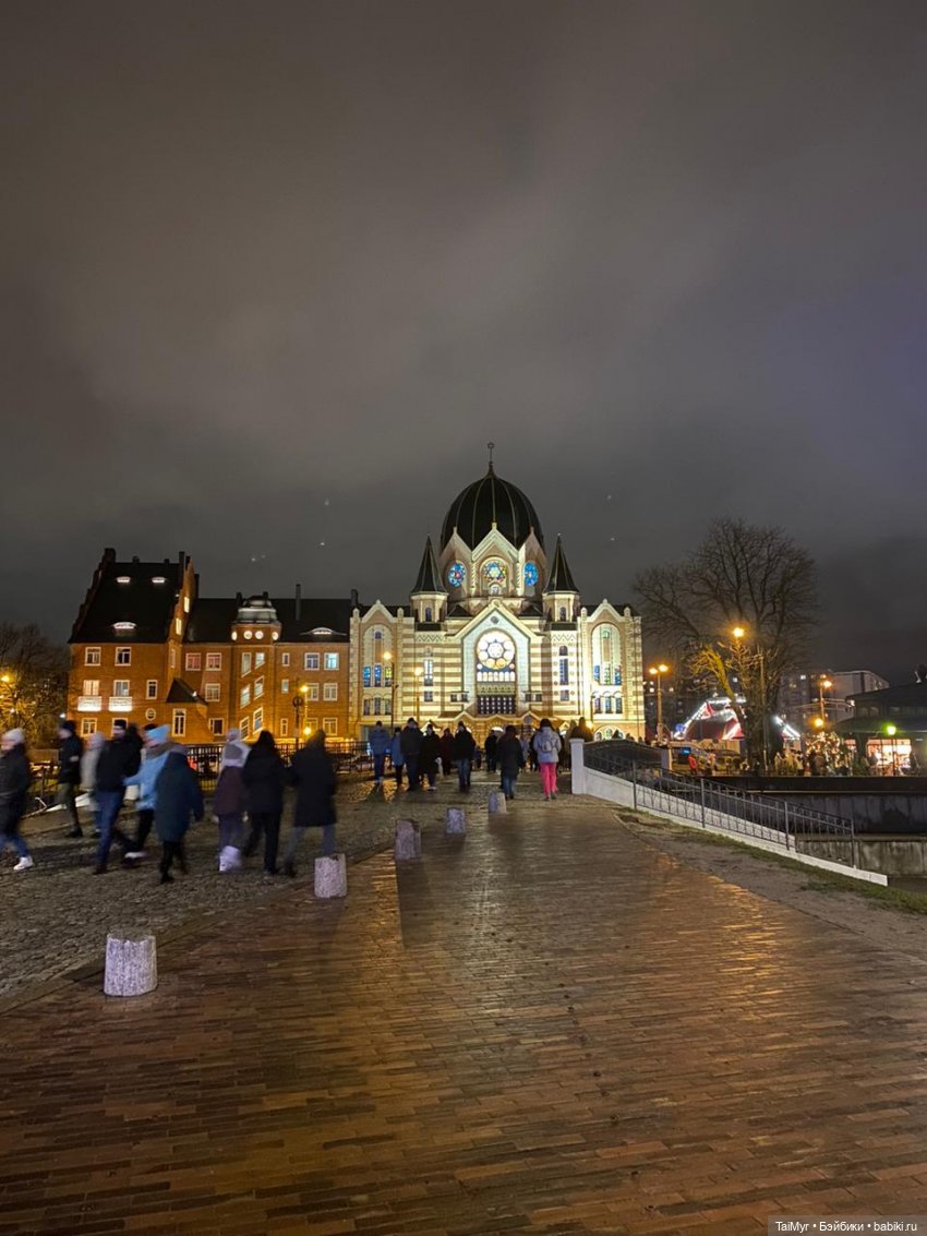 Рождественские каникулы лисёнка Бинго( продолжение) (фото 2)