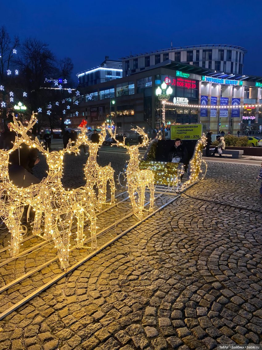 Рождественские каникулы лисёнка Бинго( продолжение) (фото 10)